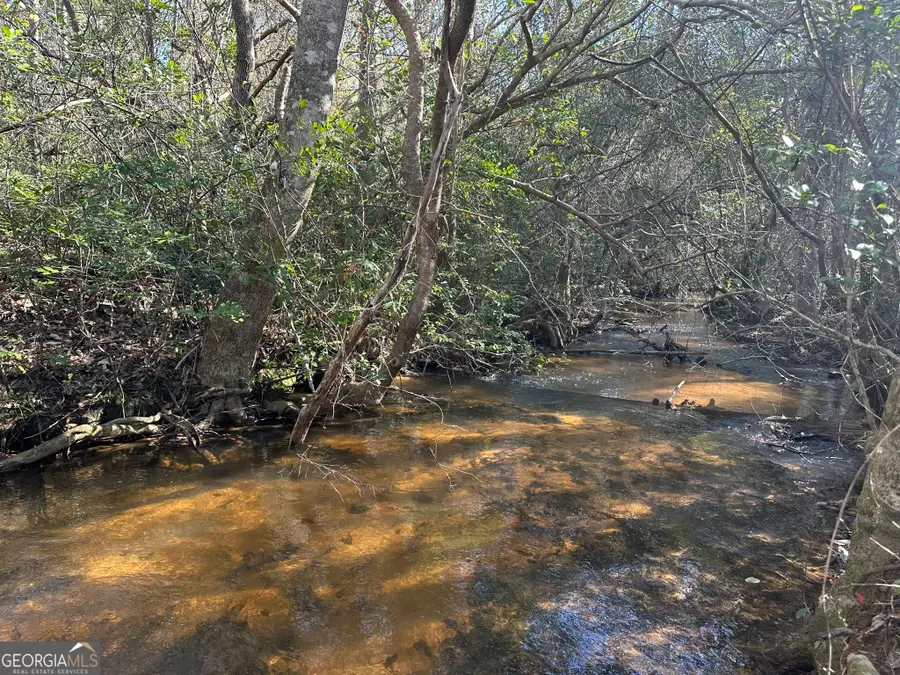 0 Mt Sinai Church Road, Butler, GA 31006 - Image #3