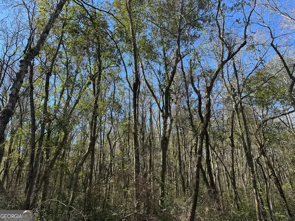 095 Mt Sinai Church Road, Butler, GA 31006