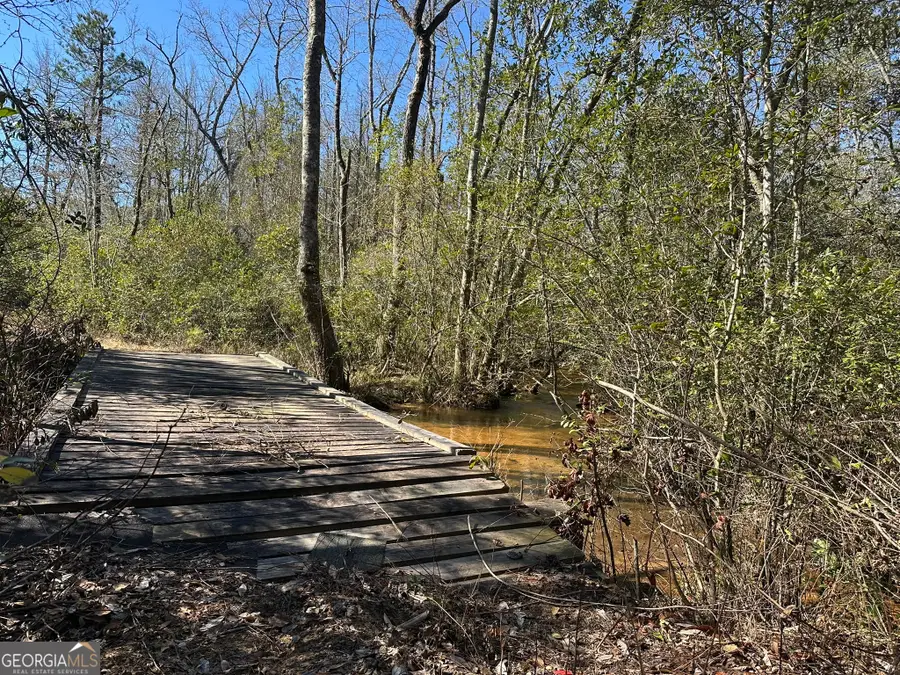 095 Mt Sinai Church Road, Butler, GA 31006 - Image #2