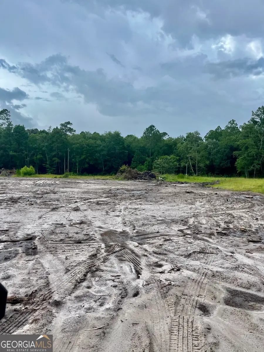 647 Gibson Circle, Hortense, GA 31543 - Image #3