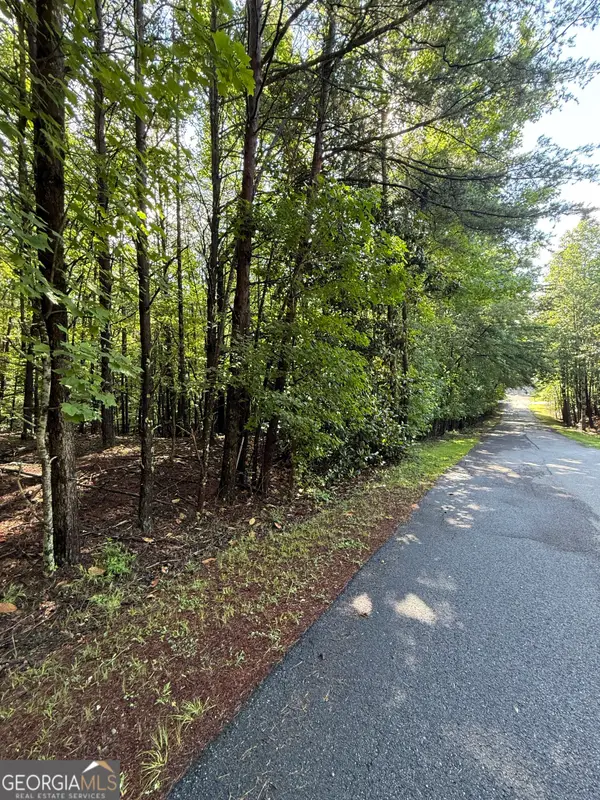 LOT 4 Marci Lane, Sautee Nacoochee, GA 30571