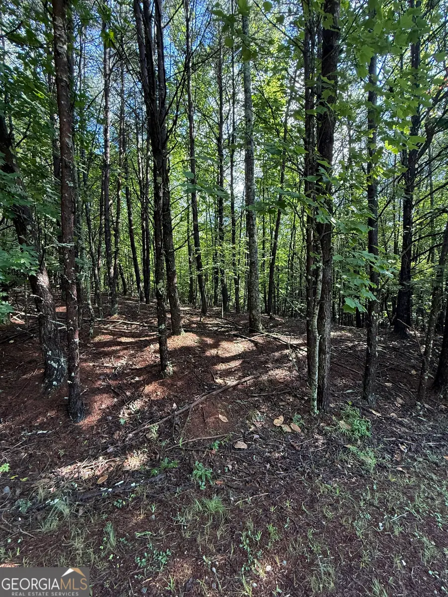 LOT 4 Marci Lane, Sautee Nacoochee, GA 30571 - Image #2