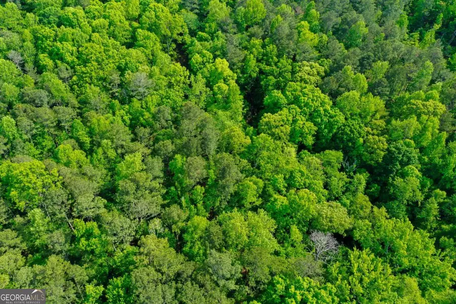 0 Bradley Drive Sw, Snellville, GA 30039 - #2