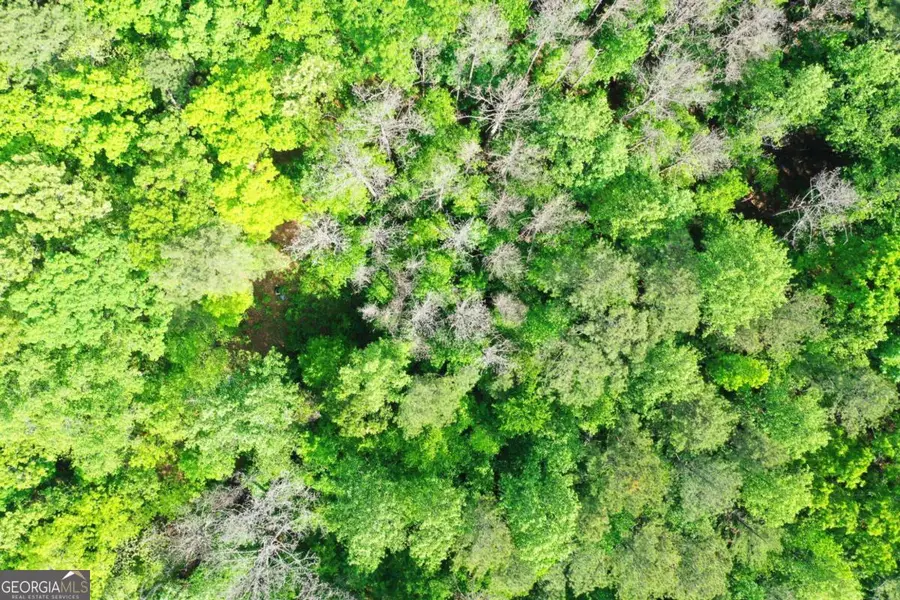 0 Bradley Drive Sw, Snellville, GA 30039 - #3