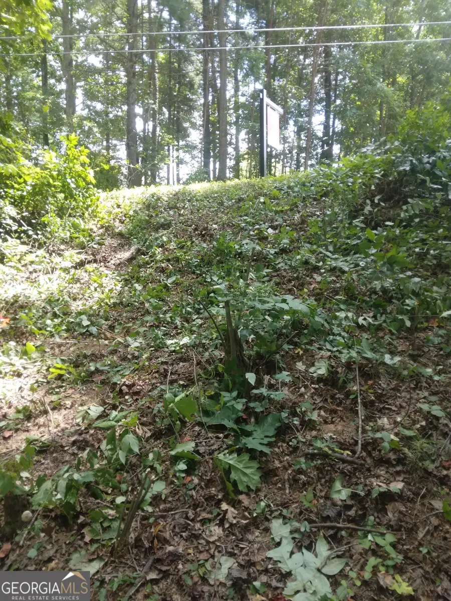 0 Hidden, Jasper, GA 30143 - Image #2