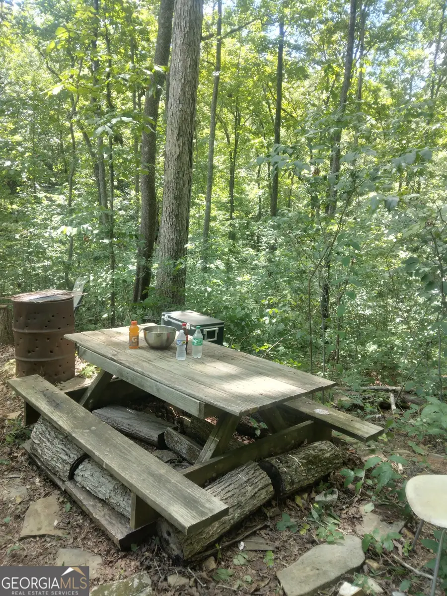 0 Hidden, Jasper, GA 30143 - Image #3