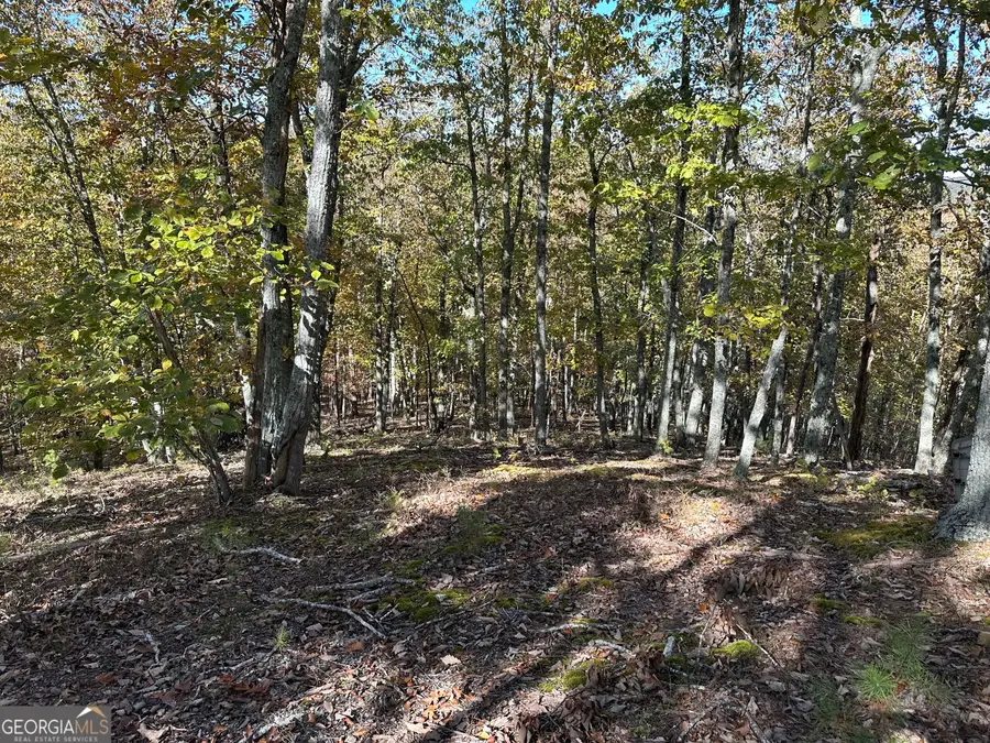 TR 2 Culp Lake Road, Cedartown, GA 30125 - Image #3
