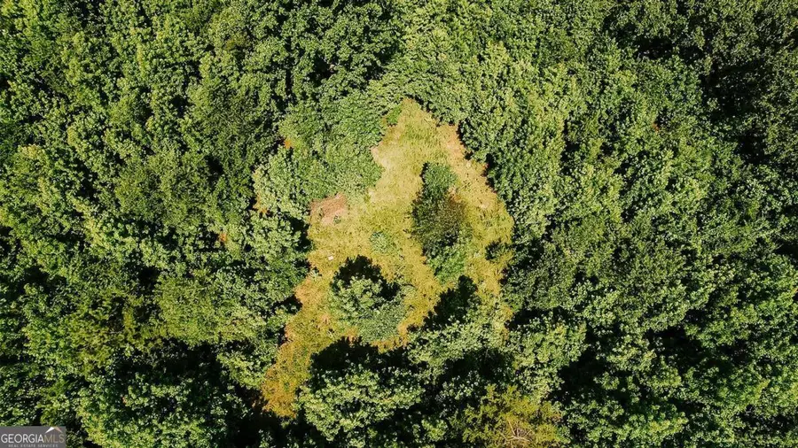 0 Griffin Road, Lavonia, GA 30553 - Image #2