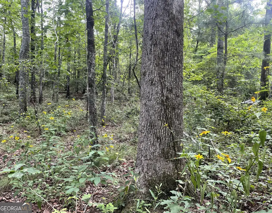 0 Dowdy Road, Roopville, GA 30170 - Image #3