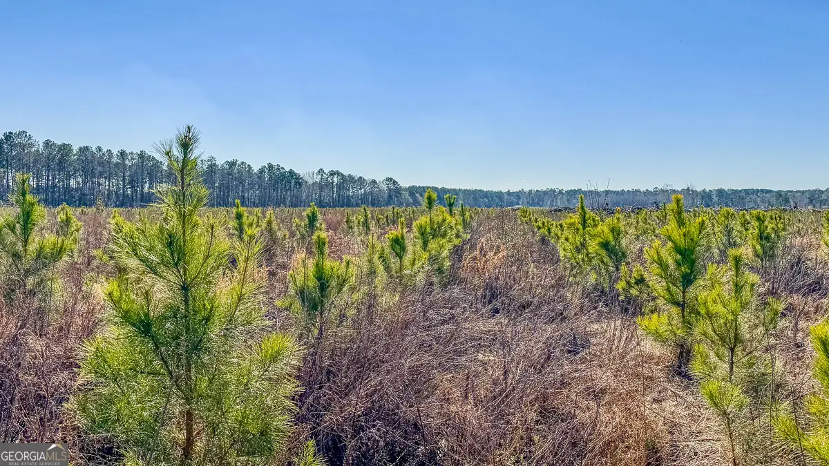 0 Highway 301 #3, Statesboro, GA 30461 - Image #1