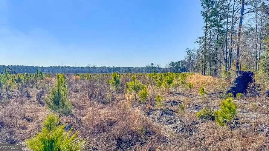 0 Highway 301 #3, Statesboro, GA 30461 - Image #3