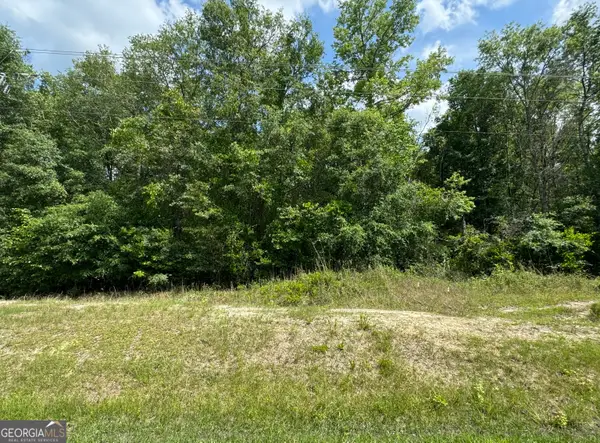 0 Reedsville Road, Clyo, GA 31303