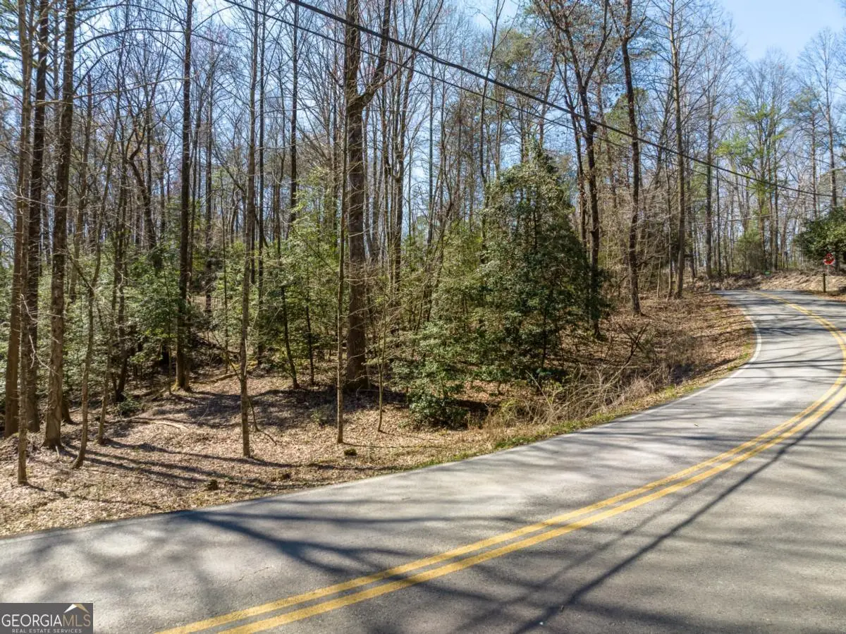 LOT 193 Shenendoa Drive, Ellijay, GA 30540 - Image #1