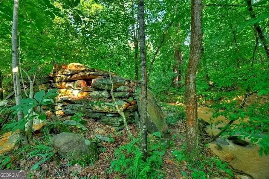 0 Lower Toccoa Hills Road, Blue Ridge, GA 30513 - #3