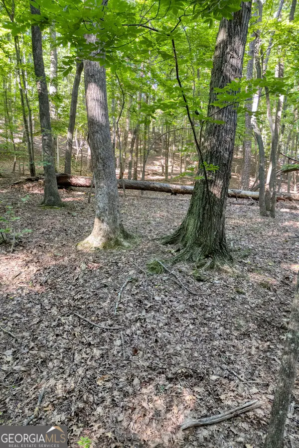 90 Cardinal Cove, Big Canoe, GA 30143