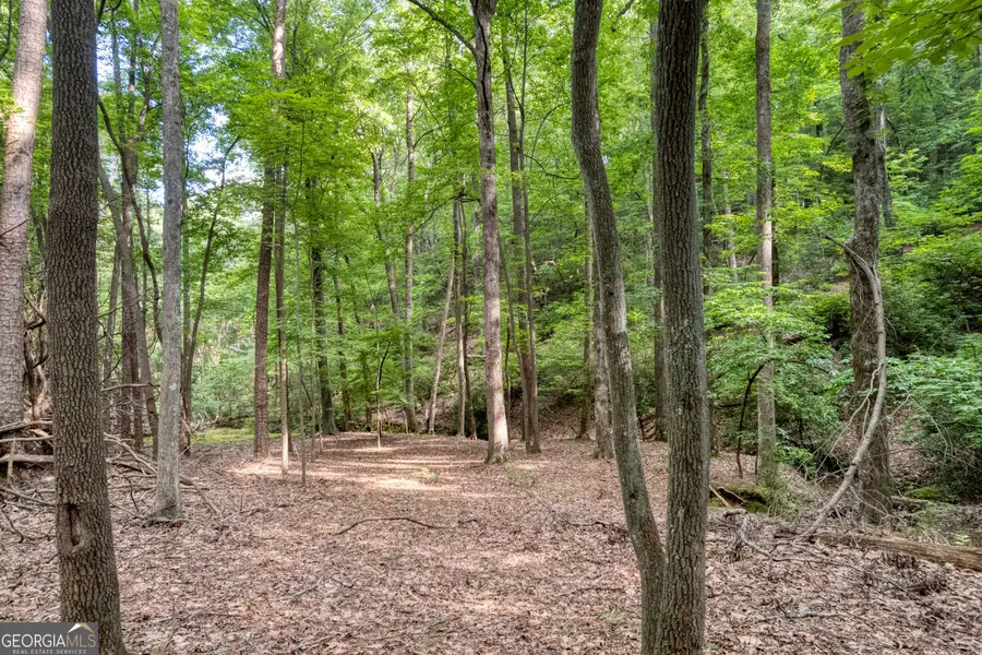 90 Cardinal Cove, Big Canoe, GA 30143 - #2