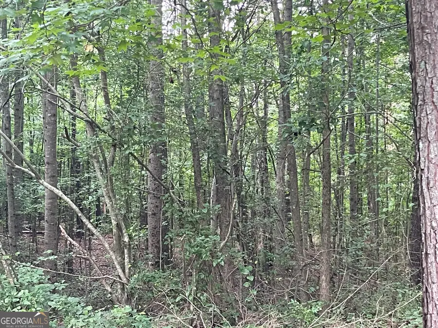 280 Levi Patterson Road, Waco, GA 30182 - Image #3