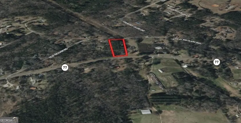 0 Old Union Point Road #1, Union Point, GA 30669 - Image #3