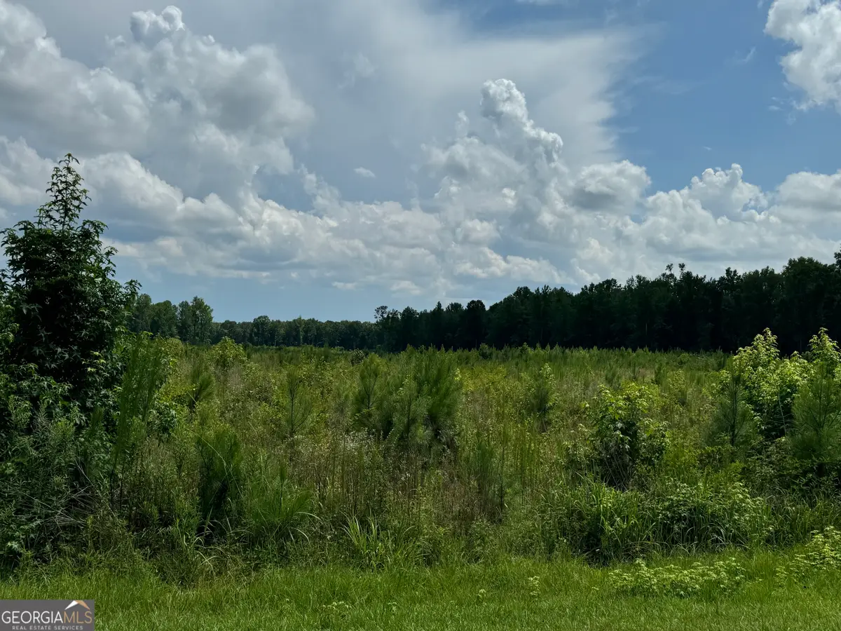 3854 Us Hwy 19, Meansville, GA 30256 - Image #1