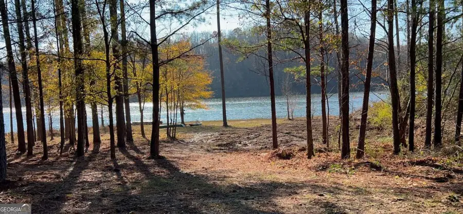 0 Covington Bridge Road, Fairmount, GA 30139 - Image #2