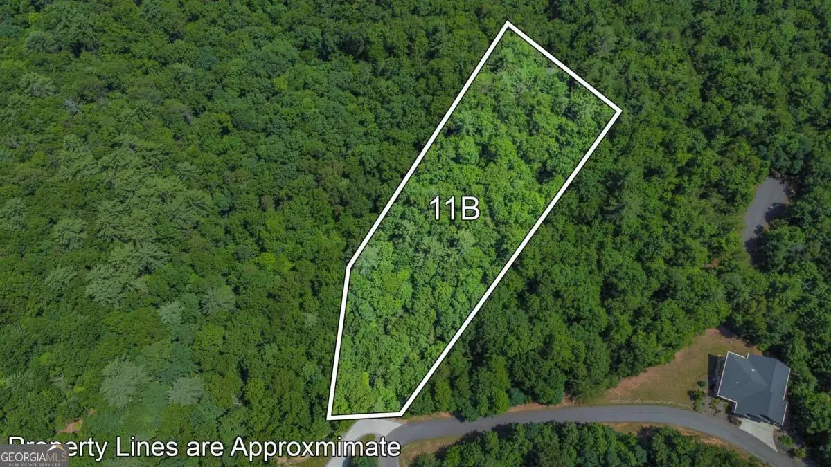 LOT 11B Prospectors Road #11B, Blairsville, GA 30512 - #1