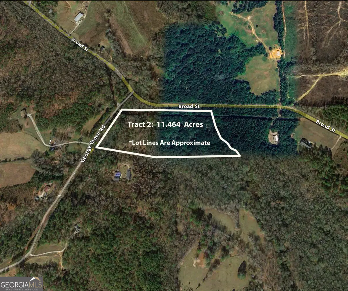 0 George Green Road, Tallapoosa, GA 30176 - Image #1