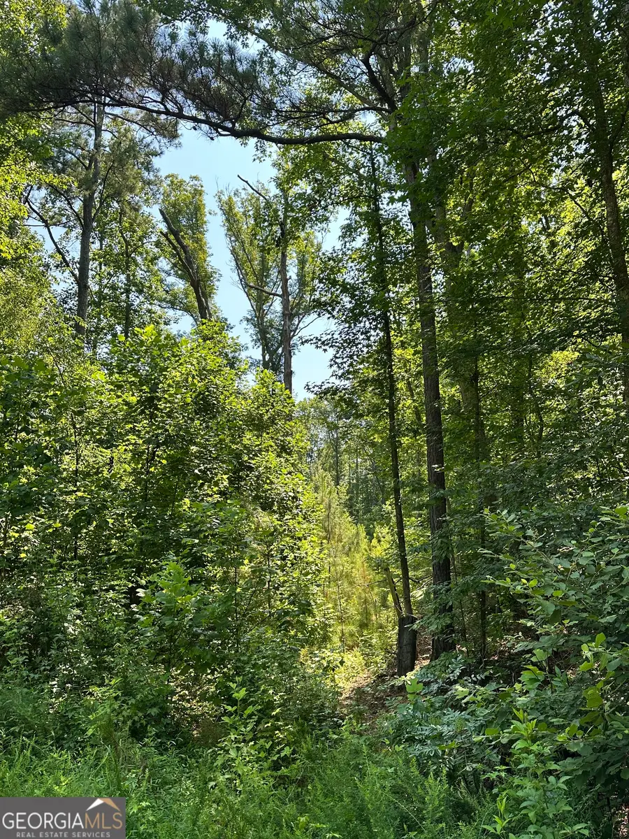 0 George Green Road, Tallapoosa, GA 30176 - Image #2