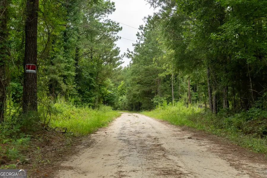 497 T04 River Road, Dry Branch, GA 31020 - Image #2