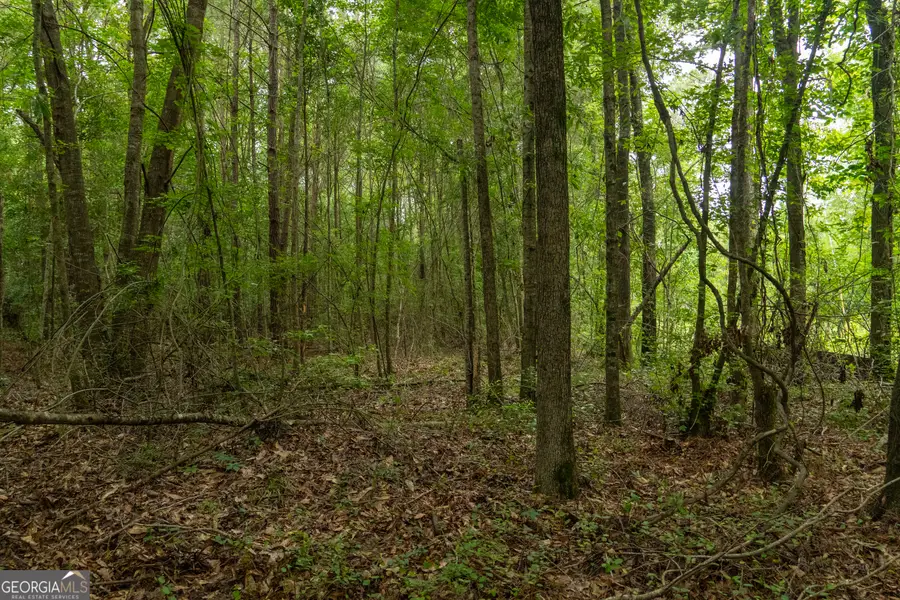 497 T04 River Road, Dry Branch, GA 31020 - Image #3