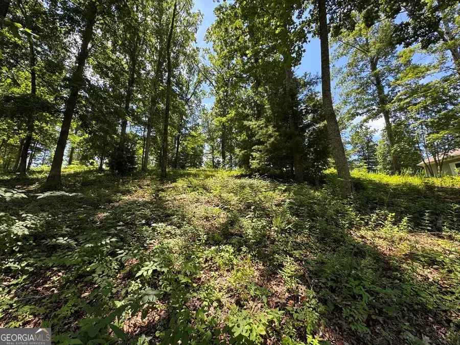 LOTS 5 & 5A Mcclure Drive, Hayesville, NC 28904 - Image #3