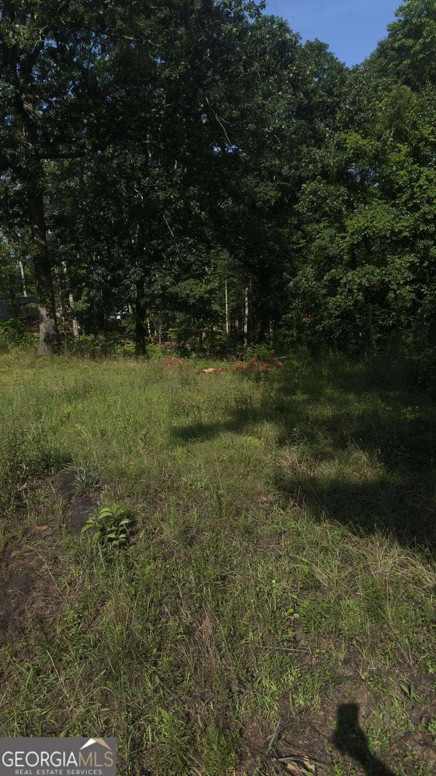 5724 Sallee Circle, Oakwood, GA 30566 - #1