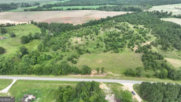 2829 Baldee Road, Bartow, GA 30413