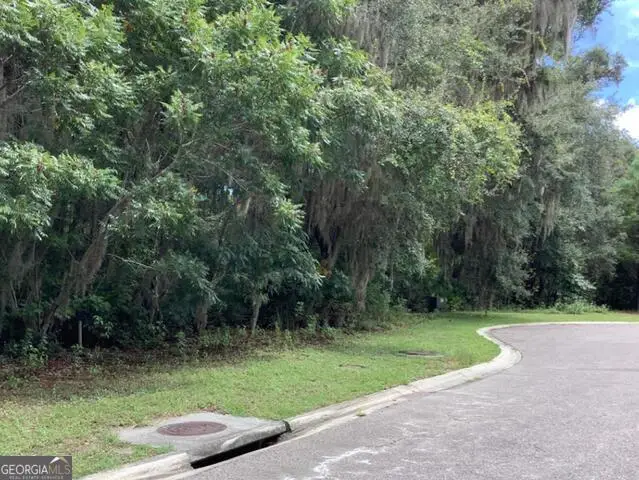 0 Lanyard Court, Saint Marys, GA 31558 - #2