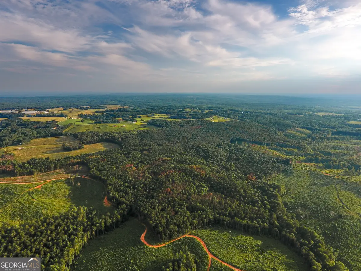 0 Caney Head Road, Roopville, GA 30170 - Image #1