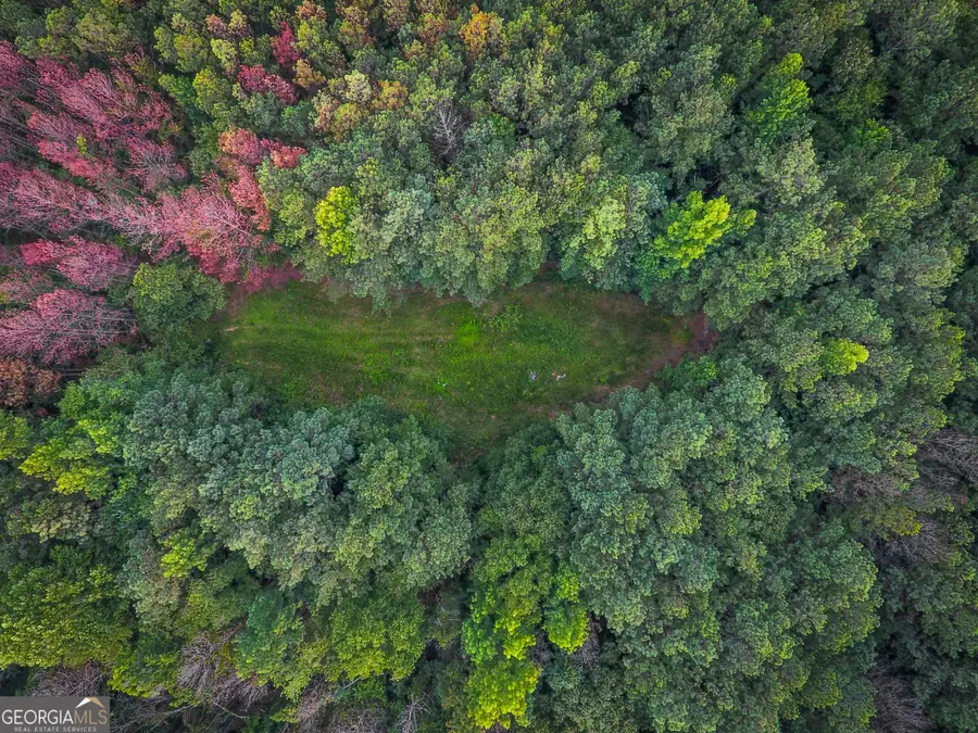 0 Caney Head Road, Roopville, GA 30170 - Image #2