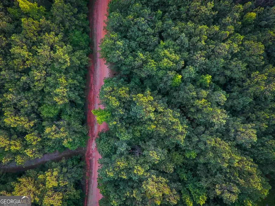 0 Caney Head Road, Roopville, GA 30170 - Image #3