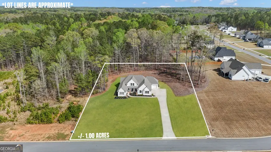 215 Greyfairs Avenue, Senoia, GA 30276 - Image #3