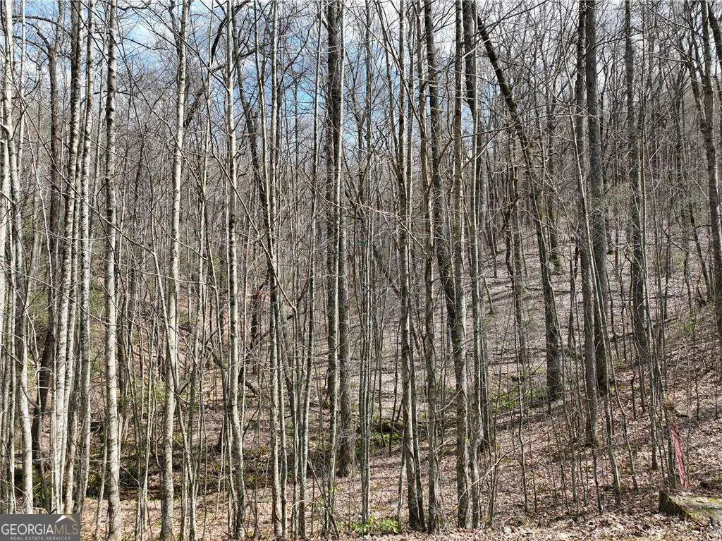 64 St Andrews Way, Ellijay, GA 30536 - #1