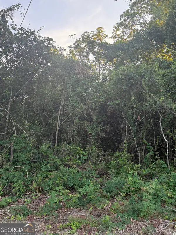 0 George Moore Road, Statesboro, GA 30461