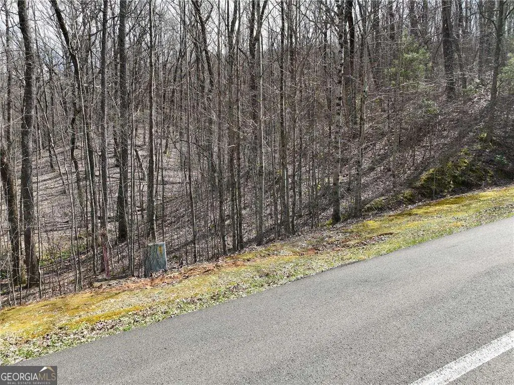 65 St Andrews Way, Ellijay, GA 30536 - #1