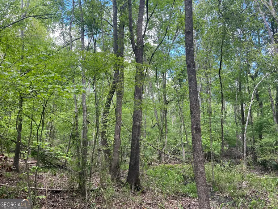 0 Bartow-dublin Road, Wrightsville, GA 31096 - Image #2