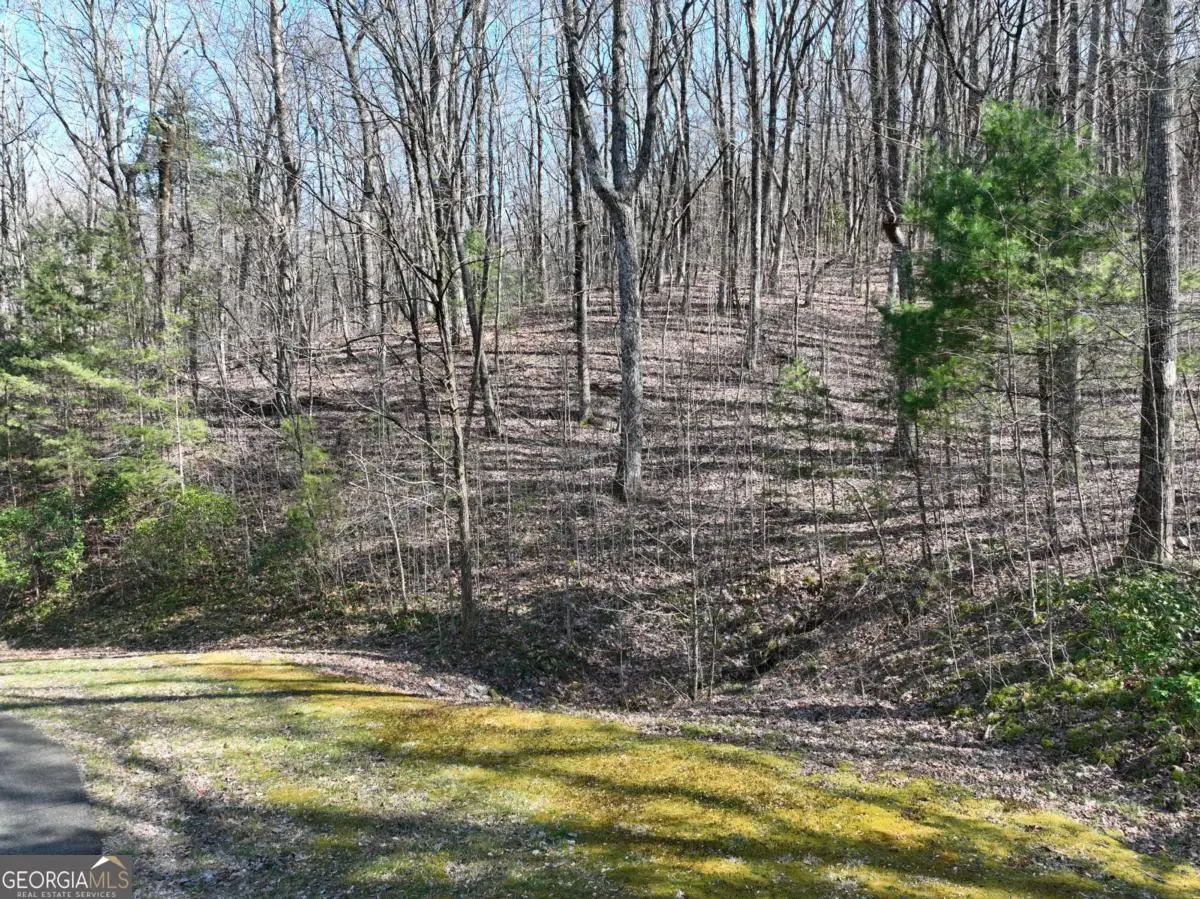 66 St Andrews Way, Ellijay, GA 30536 - #1