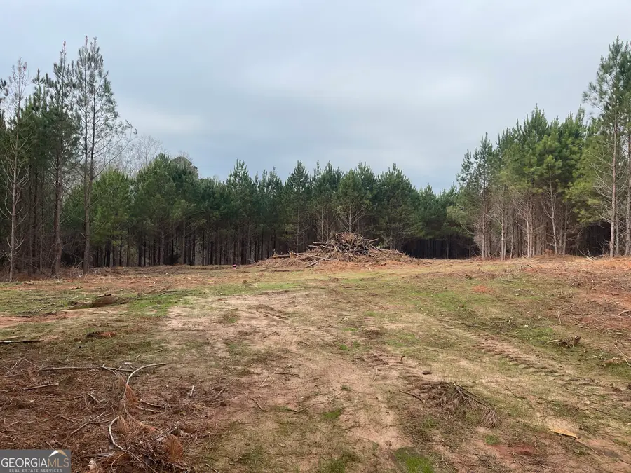 0 Bevis Rd Parcel 7, Franklin, GA 30217 - Image #2
