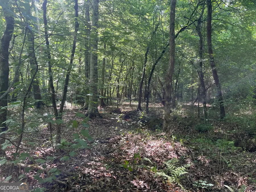 0 Bevis Rd Parcel 7, Franklin, GA 30217 - Image #3