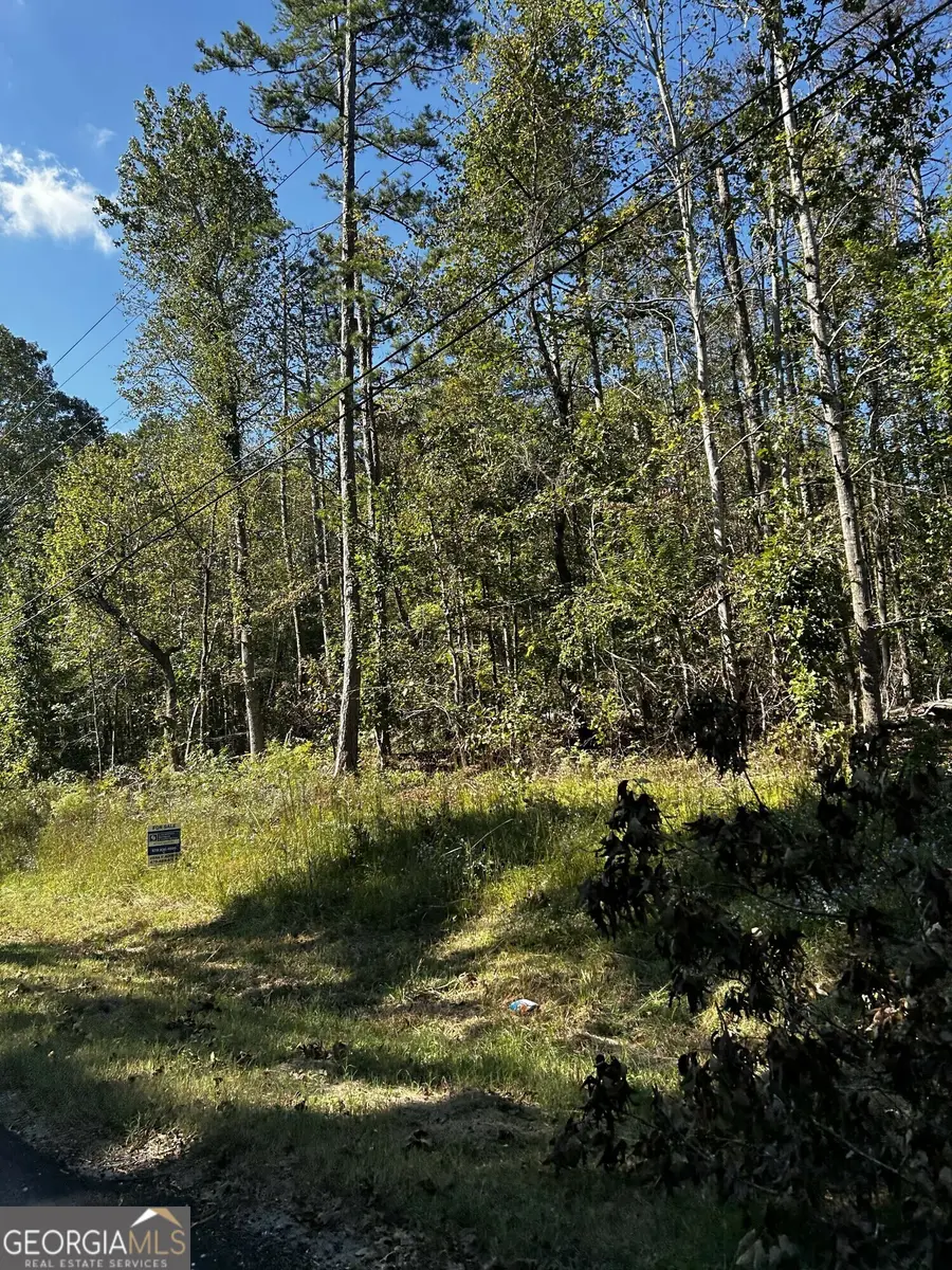 0 Holcomb North Drive, Martin, GA 30557 - Image #3