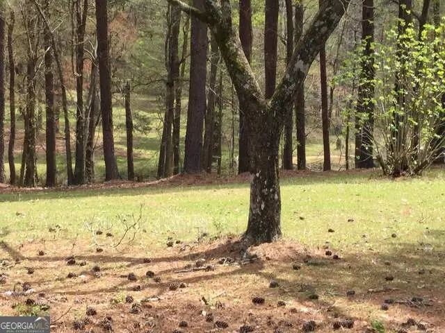 1305 & 1307 Hwy 54 East, Fayetteville, GA 30214 - Image #3