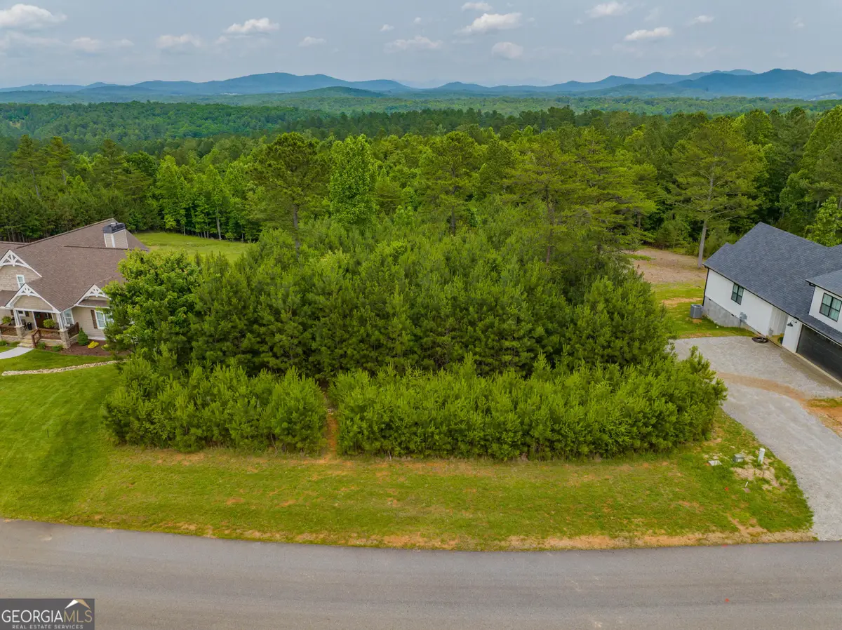 1146 Ridge Pointe Way, Blairsville, GA 30512 - #1