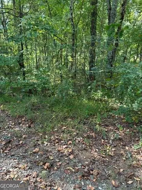 1089 Damascus Drive, Ball Ground, GA 30107 - #2