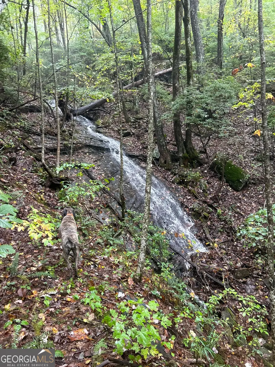 1298 Cold Stream Trail, Jasper, GA 30143 - #2