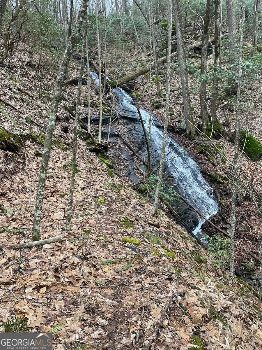 1298 Cold Stream Trail, Jasper, GA 30143 - #3